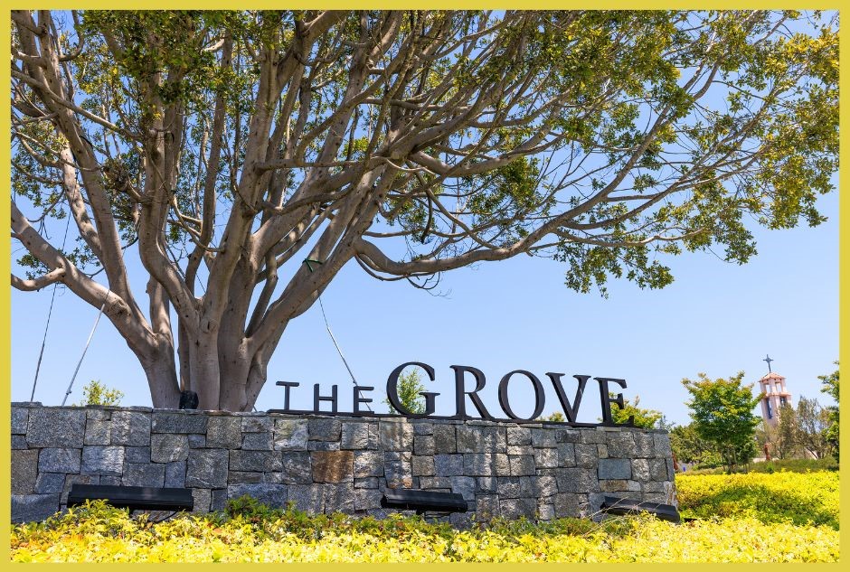 Welcome to the Grove